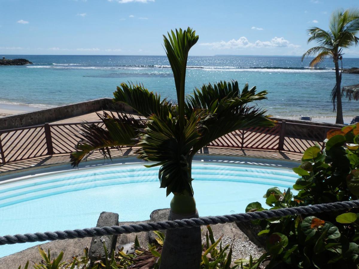 Studio Vue Mer Piscine Plage Kaz Punch Manganao Chez Julie Saint-Francois  Ngoại thất bức ảnh