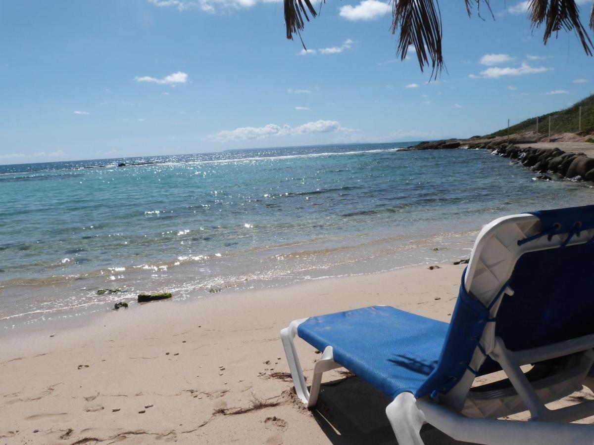 Studio Vue Mer Piscine Plage Kaz Punch Manganao Chez Julie Saint-Francois  Ngoại thất bức ảnh