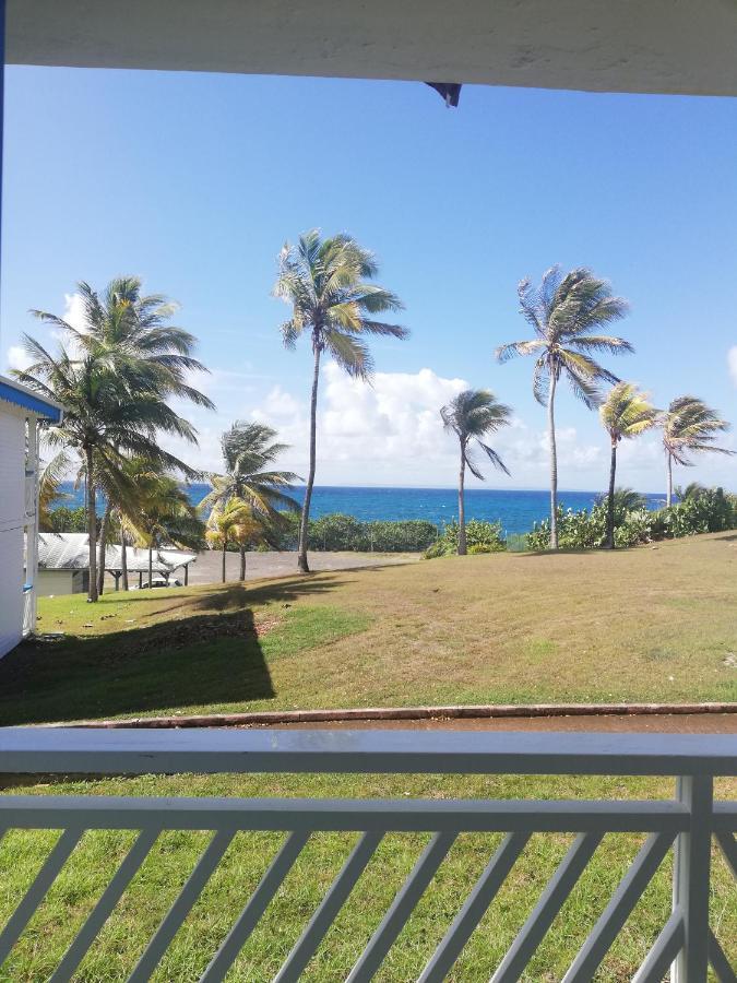 Studio Vue Mer Piscine Plage Kaz Punch Manganao Chez Julie Saint-Francois  Ngoại thất bức ảnh