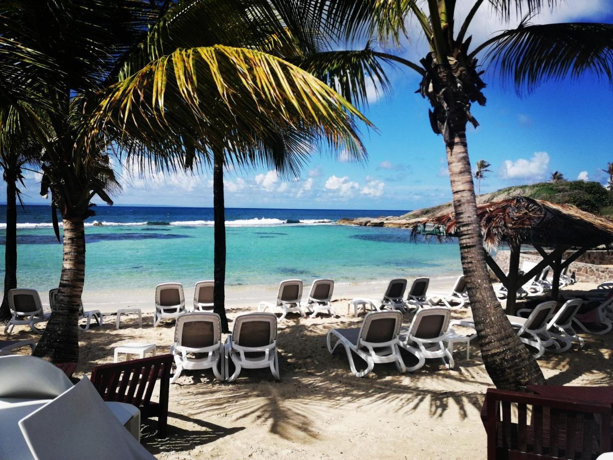 Studio Vue Mer Piscine Plage Kaz Punch Manganao Chez Julie Saint-Francois  Ngoại thất bức ảnh